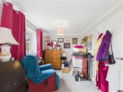 Picture 21